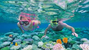 Great-Barrier-Reef-Tour