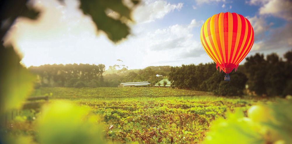 hot air balloon flight gold coast champagne balloons