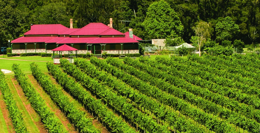 hot air balloon gold coast oreillys vineyard